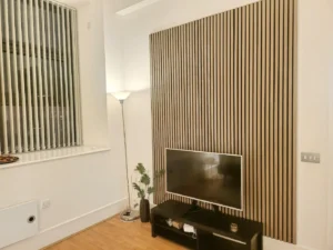Birmingham Brindley House Tv Wall - StayBnB managed property